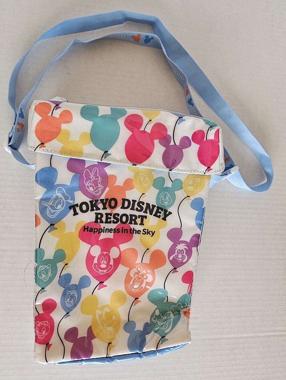 Tokyo Disney Popcorn Bag